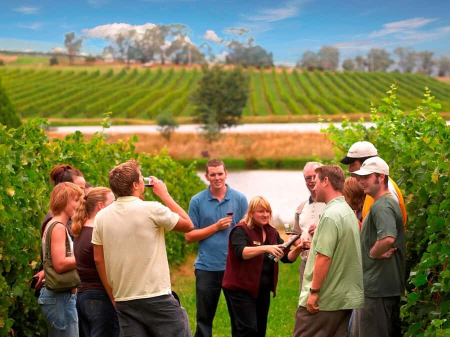 Melbourne: Full-Day Yarra Valley Wine Experience with Lunch - Quick take: what makes this tour worth your time