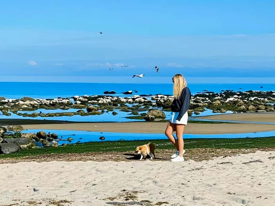 Melbourne Great Ocean Rd Reverse Tour London Bridge Wildlife - What to bring so the day feels easy