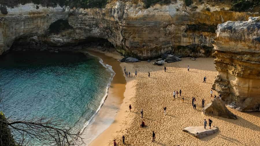 Melbourne: Great Ocean Road Extended–Top Stops&London Bridge - Apollo Bay lunch and the koala search at Barham River Road