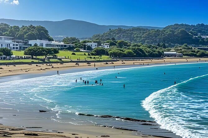 Melbourne: Great Ocean Road Luxury Coach Reverse Tour - Great Otway National Park: Where Wildlife and Waterfall-Like Views Fit the Day