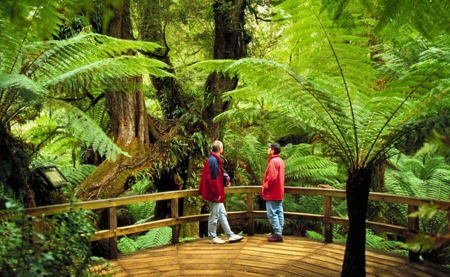 Melbourne: Great Ocean Road, Penguin Parade & Free City Tour - What’s Included (and What You Still Need to Plan For)