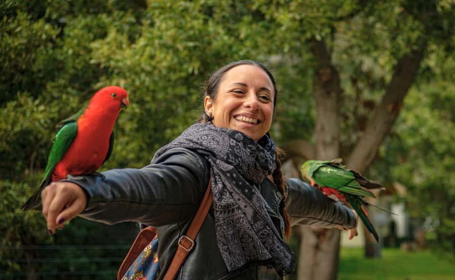 Melbourne: Great Ocean Road, Penguin Parade & Free City Tour - Who This Tour Fits Best (and When to Think Twice)