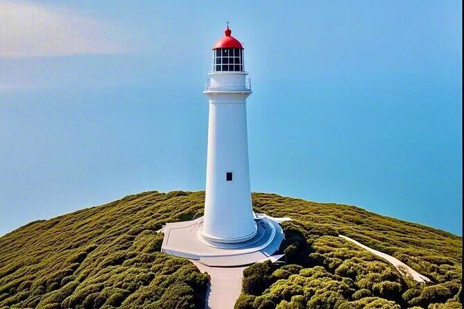 Melbourne Great Ocean Road Reverse Tour + London Bridge wildlife - The rainforest and waterfall park stop: where the day slows down