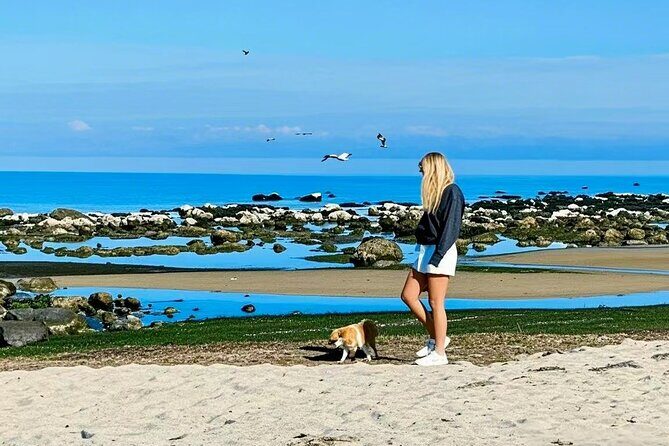 Melbourne Great Ocean Road Reverse Tour + London Bridge wildlife - Loch Ard Gorge: shipwreck cliffs and the first big views
