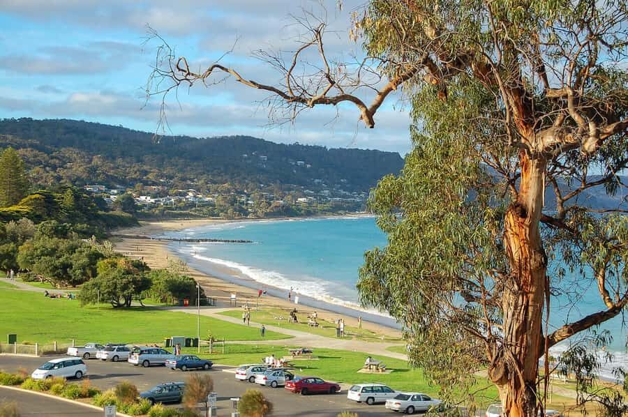 Melbourne: Great Ocean Road to 12 Apostles via the Coastline - Apollo Bay Lunch Break With Sea Views (And Room to Recharge)