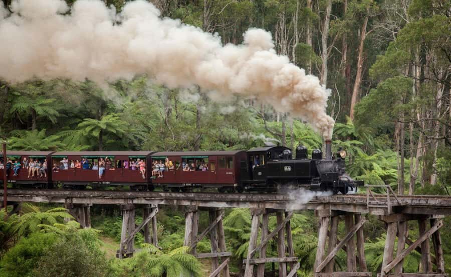 Melbourne: Half-Day Puffing Billy Steam Train Experience - Price and value: is $126 per person worth it?