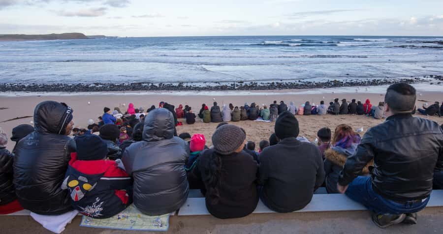 Melbourne: Healesville Sanctuary & Phillip Island Tour - Phillip Island at Dusk: Watching Penguins Come Ashore