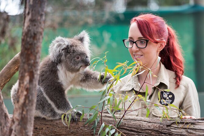 Melbourne Highlights and Aussie Wildlife Express Tour - Fitzroy Gardens: a 20-minute reset in the middle of the day