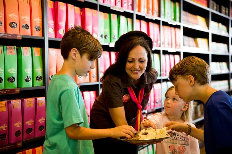 Melbourne: Lake Mountain Snow Guided Tour - Key highlights to know before you go