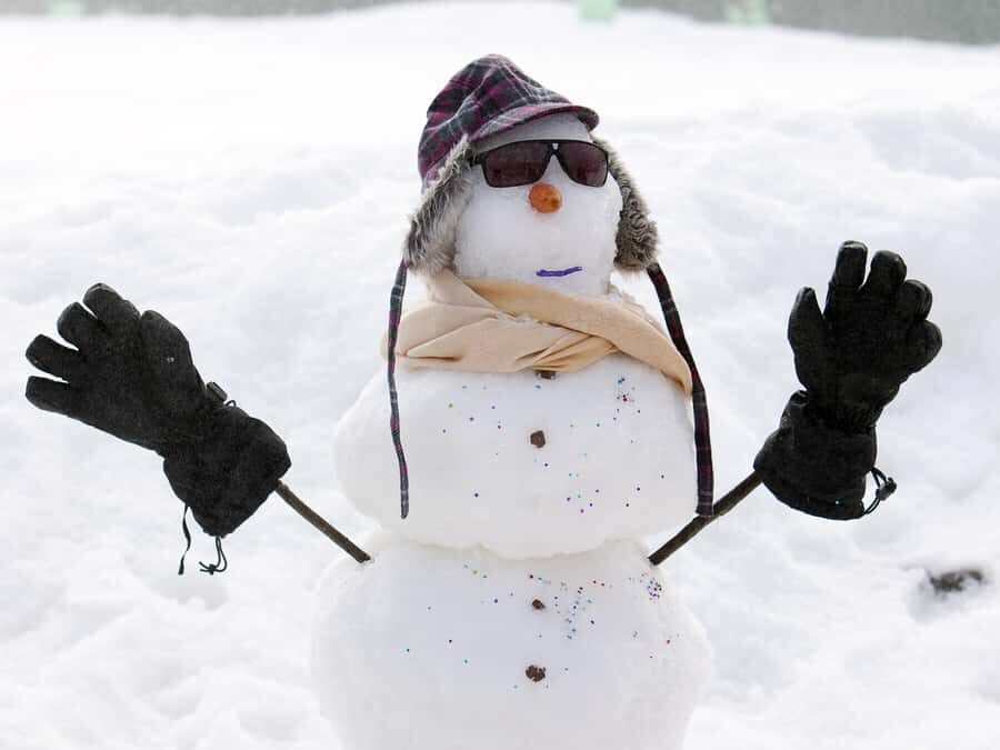 Melbourne: Lake Mountain Snow Guided Tour - 3 hours of snow fun: more than a photo stop
