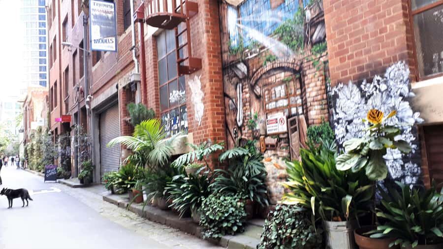 Melbourne Laneways Tour - Walking logistics: what to bring, how hard it is, and who it suits