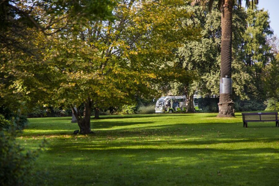 Melbourne: Melbourne Gardens Explorer Minibus Tour - Why a 30-minute minibus works in Melbourne Gardens