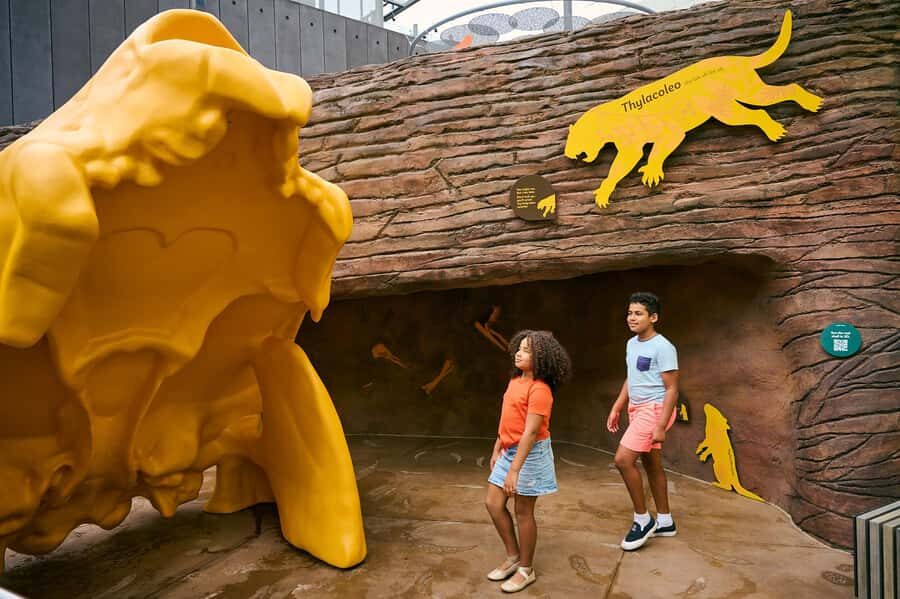 Melbourne: Melbourne Museum Entry Ticket - Melbourne Museum: why this $12 ticket feels like a bargain