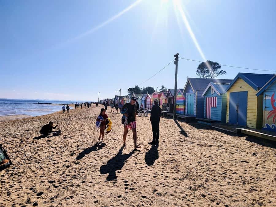 Melbourne: Moonlit Sanctuary and Brighton Beach Boxes Tour - Brighton Beach Boxes: a quick photo stop with real coastal payoff