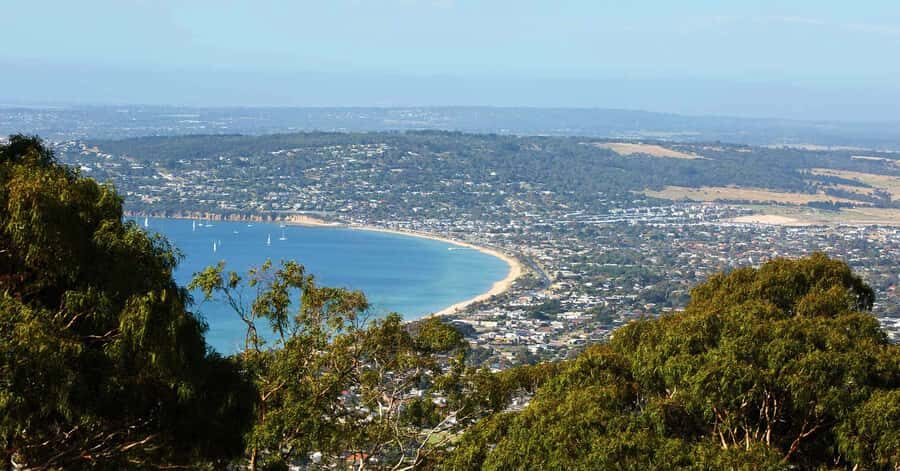 Melbourne/Mornington: Peninsula Hot Springs and Winery Tour - Green Olive Estate: Gourmet Lunch and a Cool-Climate Wine Paddle