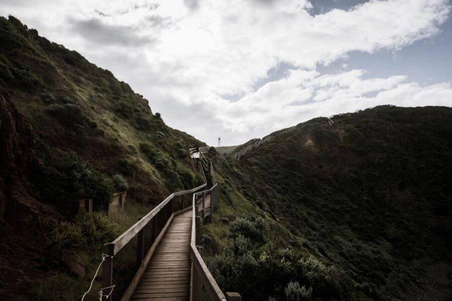 Melbourne: Mornington Peninsula & Hot Springs Tour 8 pax max - Arthur’s Seat: Panoramic Port Phillip Bay Views and a Morning Tea Pause