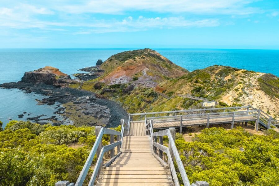 Melbourne: Mornington Peninsula & Hot Springs Tour 8 pax max - Cape Schanck: A Short Walk in the Lighthouse Precinct