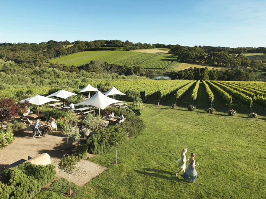 Melbourne: Mornington Peninsula Wine Day Tour - The practical side: how the 10-hour format works