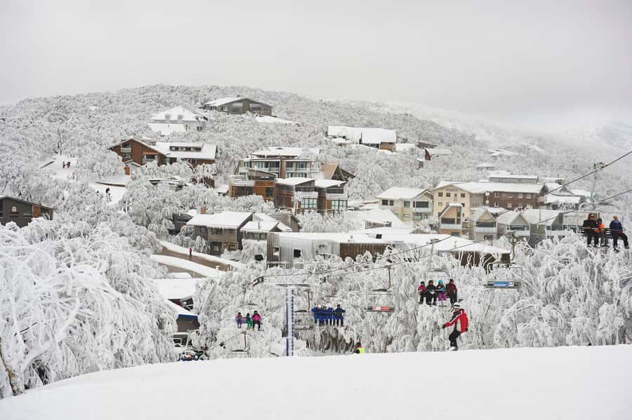 Melbourne: Mt Buller Snow Tour-Save on Hire & True 5 Hrs Fun - Who should book this Mt Buller day trip