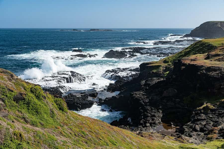 Melbourne: Penguin Parade & Phillip Island Scenic Day Tour - Key highlights you’ll feel fast