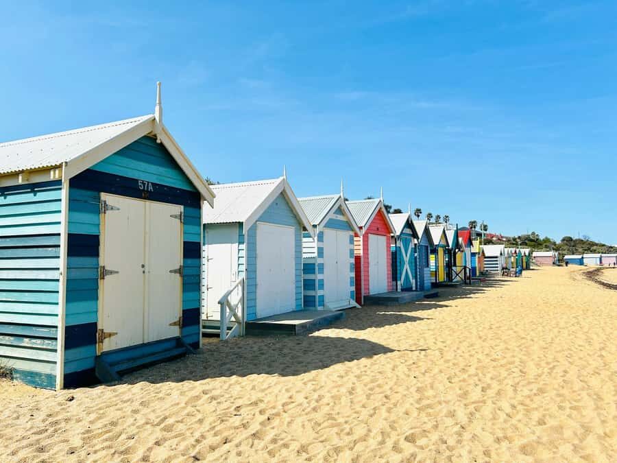 Melbourne: Penguin Parade & Phillip Island Scenic Day Tour - Who should book this Penguin Parade day tour