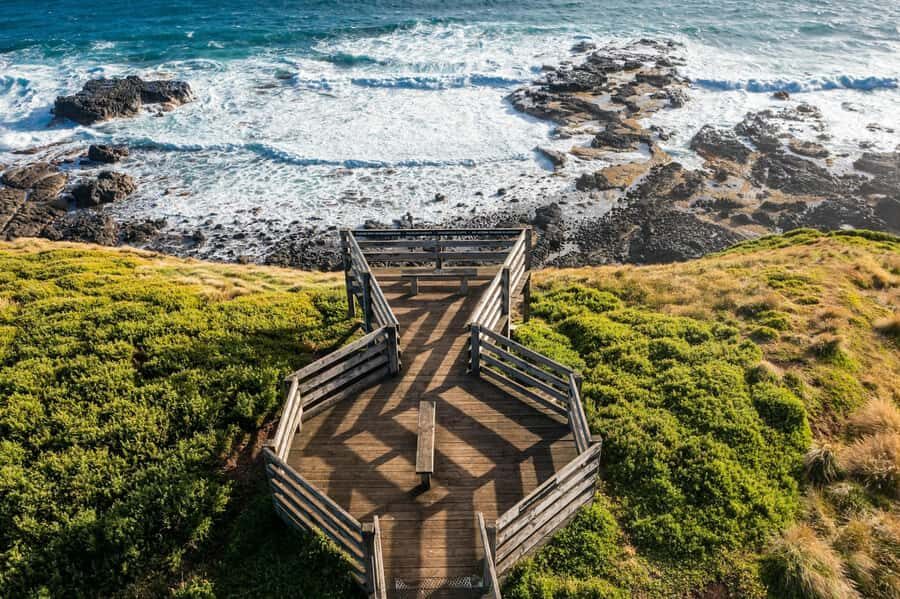 Melbourne: Penguin Parade Tour with Puffing Billy Train Ride - The Nobbies Viewpoint: coastal views that come with wildlife vibes