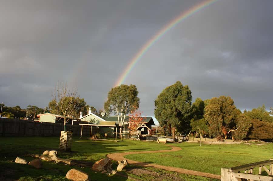 Melbourne: Penguin Parade Tour with Puffing Billy Train Ride - Who should book this tour (and who should choose a different plan)