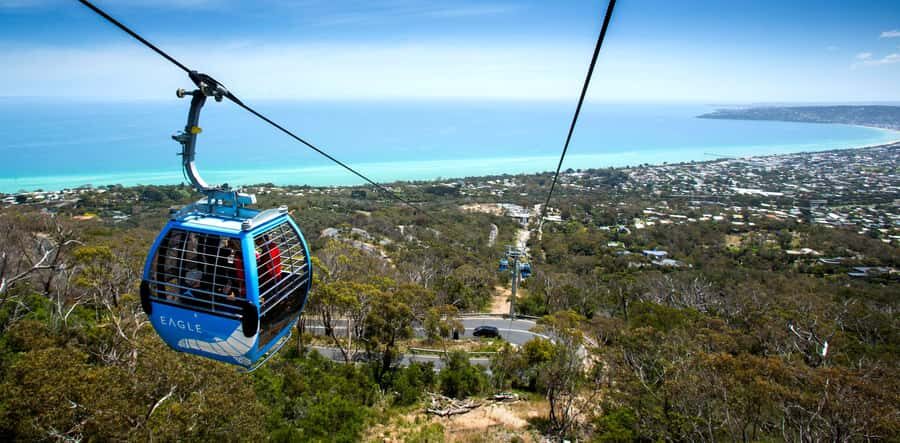 Melbourne: Peninsula Nature Private Day Trip with Dinner - Arthurs Seat Eagle chairlift: panoramic views without a hard hike