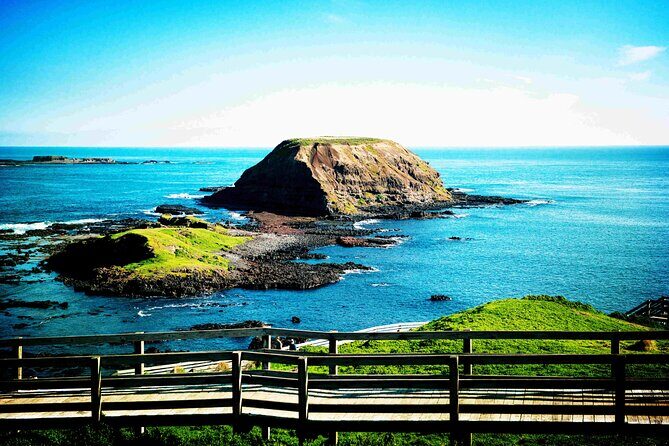 Melbourne Phillip Island 1 Day Tour - The Nobbies Centre: rocky views and birdlife before the penguins