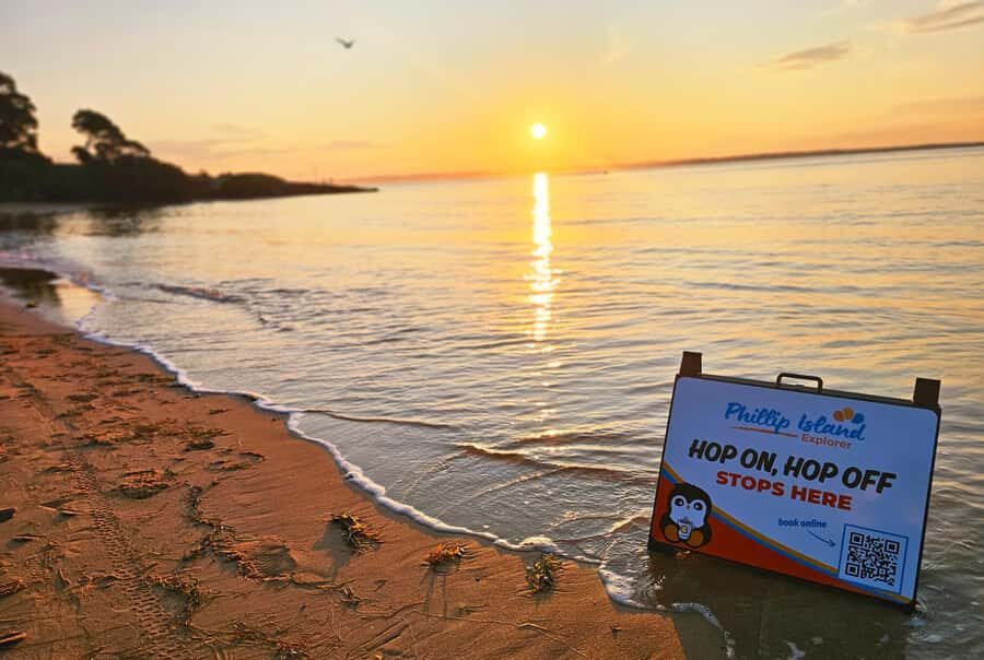 Melbourne: Phillip Island Tour w/ Hop-on Bus or Seal Cruise - Penguin Parade at sunset: what you’re really watching for