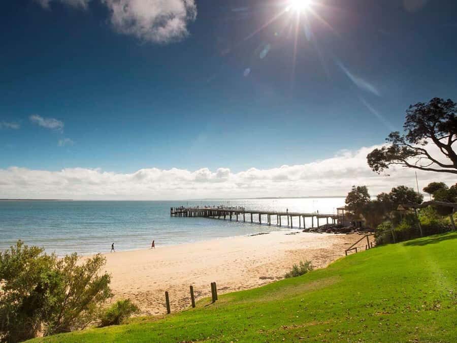 Melbourne: Phillip Island Tour w/ Hop-on Bus or Seal Cruise - Premium transport details that make a long day feel manageable