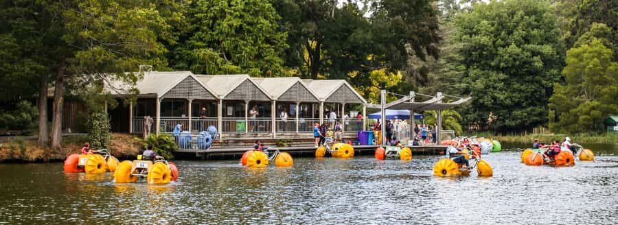 Melbourne: Puffing Billy & Healesville Sanctuary Scenic Tour - Healesville Sanctuary: wildlife viewing with lessons, not just a quick look