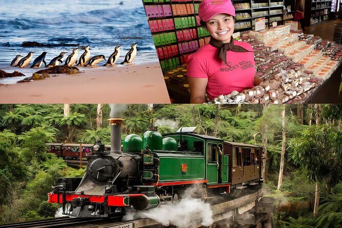 Melbourne Puffing Billy Penguin wine choc(16 max) Hotel Pick Up - Key Highlights You’ll Feel Immediately