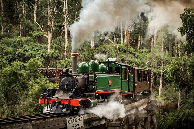 Melbourne Puffing Billy Penguin wine choc(16 max) Hotel Pick Up - A Long, Scenic Melbourne-to-Phillip Island Day (That’s Actually Two Trips in One)