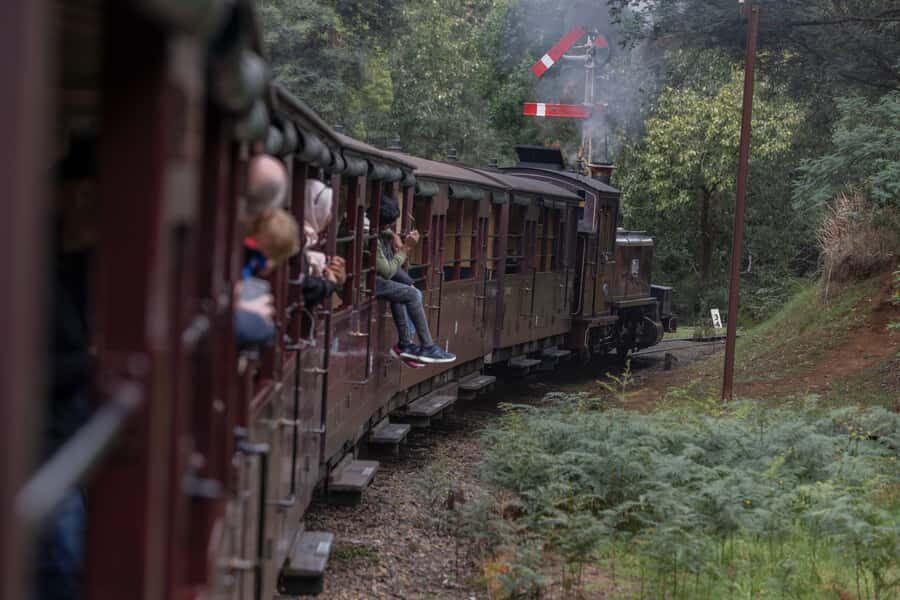 Melbourne: Puffing Billy Railway & Penguin Parade Day Tour - Should you book this Melbourne Puffing Billy & Penguin Parade day tour?