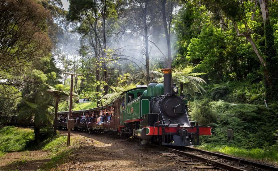Melbourne: Puffing Billy Railway & Rainforest Tour - Your Best Strategy for Photos and Views