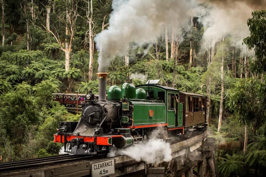 Melbourne: Puffing Billy Steam Train and Philip Island - The Nobbies boardwalks: seals, sea views, and how to watch smarter