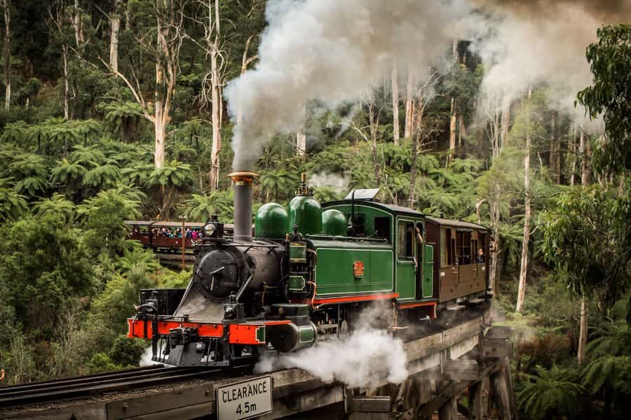 Melbourne: Puffing Billy Steam Train & Penguin Parade Tour - Key highlights worth planning for