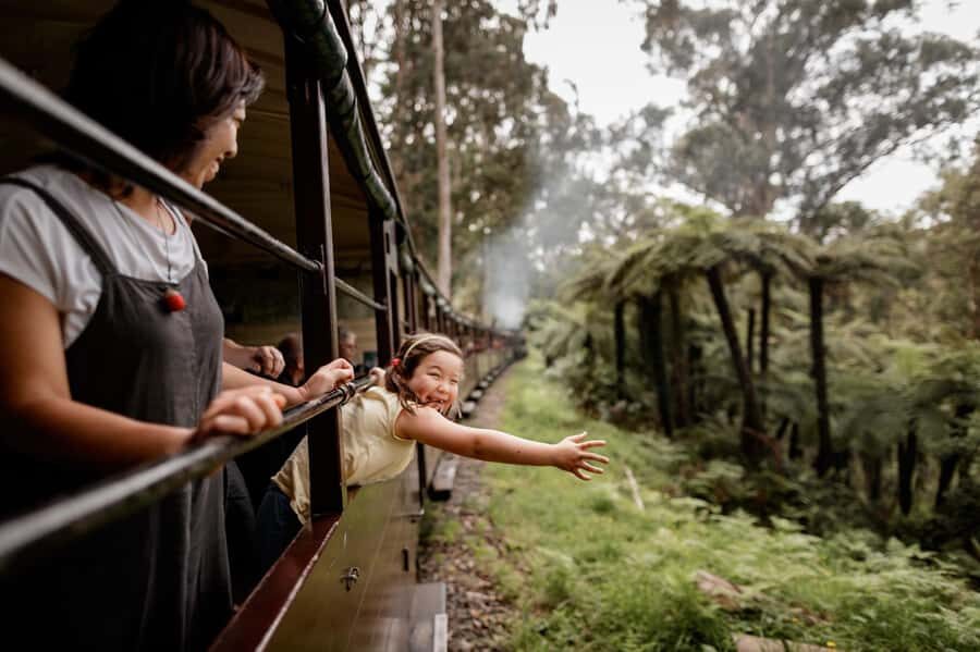 Melbourne: Puffing Billy Steam Train & Penguin Parade Tour - Puffing Billy steam train: the century-old ride you actually came for