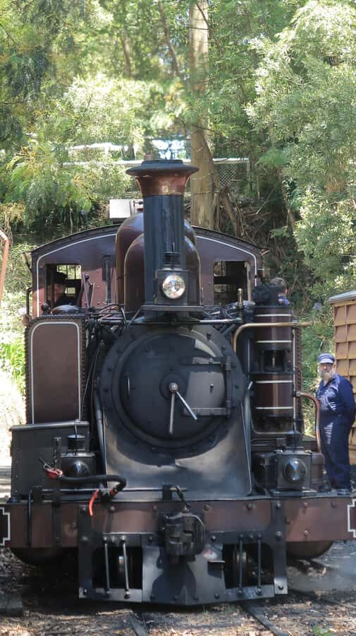 Melbourne: Puffing Billy Train and Penguin Island Day Tour - A steam train meets penguins in one long, well-paced day