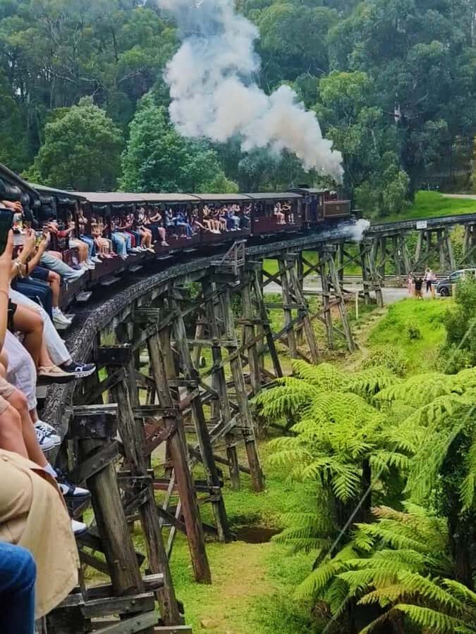 Melbourne: Puffing Billy Train and Penguin Island Day Tour - Melbourne pickup points and the reality of a 14-hour schedule