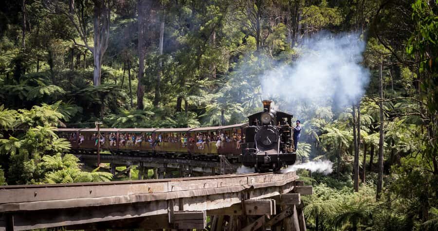 Melbourne: Puffing Billy Train & Penguin Island Excursion - Key things to know before you book