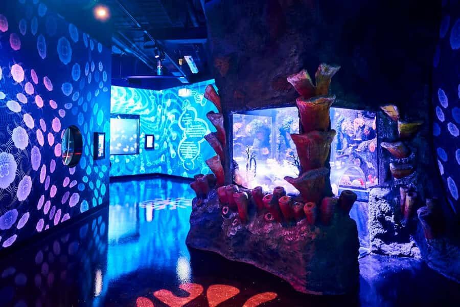 Melbourne: SEA LIFE Aquarium Entrance Ticket - Penguins in the Antarctic: the classic payoff