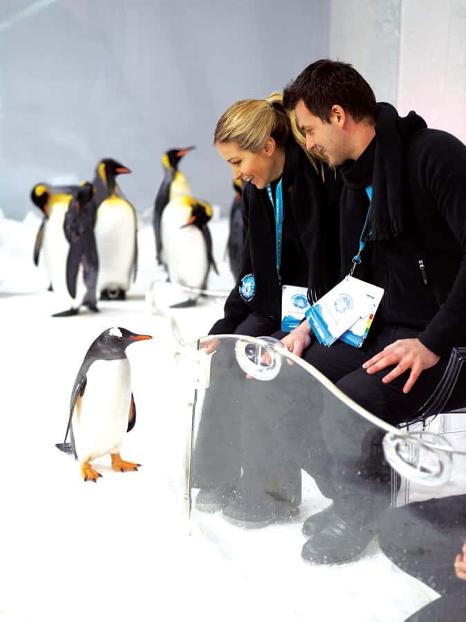 Melbourne: SEA LIFE Aquarium Entrance Ticket - What your $28 entrance ticket really covers
