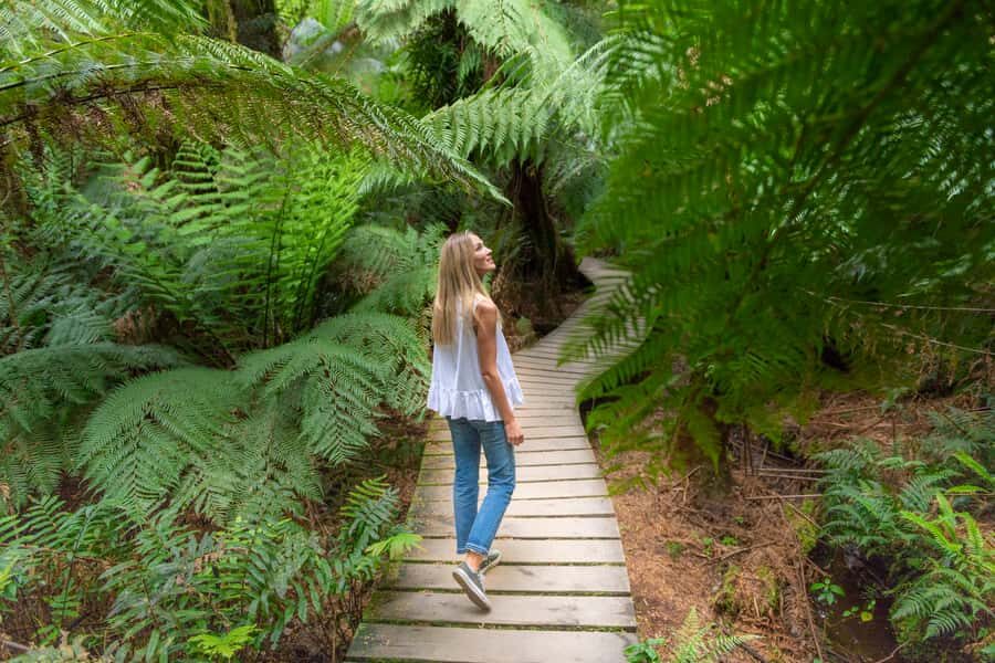 Melbourne to Adelaide: 2-Day Overland Explorer Tour - Brambuk Cultural Center and Aboriginal culture learning