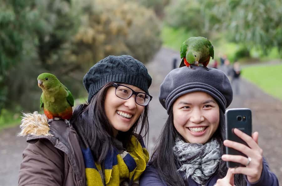 Melbourne to Adelaide: 3-Day Great Ocean Road Grampians Tour - What to pack and how to stay comfortable in Victoria and the Grampians