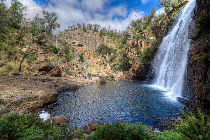 Melbourne to Adelaide 3-Day Great Ocean Road & Grampians Tour - Price and logistics: what $641.93 buys you (and what it doesn’t)