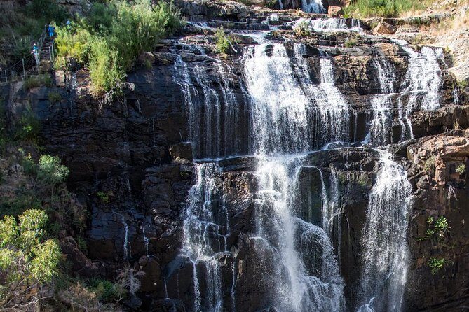 Melbourne to Adelaide 3-Day Great Ocean Road & Grampians Tour - Should you book this Melbourne to Adelaide Great Ocean Road & Grampians tour?