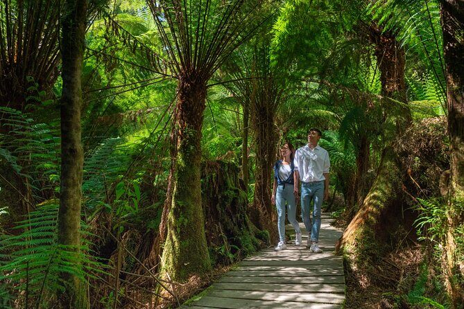 Melbourne to the Great Ocean Road & Grampians 3 Day Original Tour - Great Otway National Park rainforest walk: when the air changes