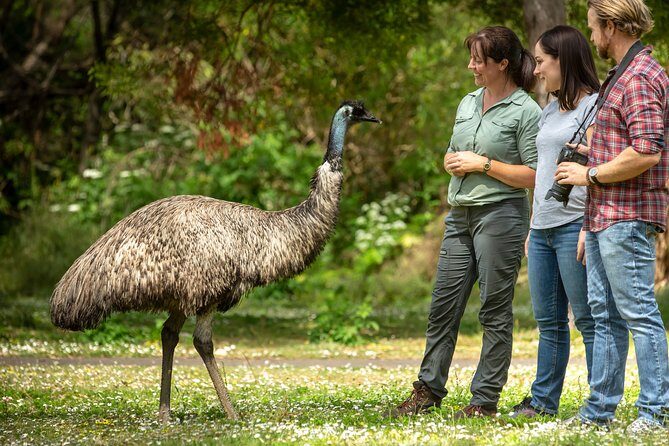 Melbourne to the Great Ocean Road & Grampians 3 Day Original Tour - Pinnacle hike: the longest walk day, so plan your effort
